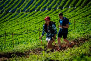 BIB: 
                            <button type="button" onclick="openModal(19160636)" class="btn btn-primary btn-sm float-right btn-popup" data-toggle="modal" data-target=".modal-high-quality">
                        <i class="fas fa-shopping-cart"></i> Add to Cart
                    </button>
                                            <button type="button" onclick="isThisMe(19160636, true)" class="btn btn-success btn-sm float-right btn-popup btn-isme hidden" data-toggle="tooltip" data-placement="bottom" title="นี่คือรูปของคุณใช่ไหม คลิกที่นี่เพื่อเอาเข้าอัลบั้ม">
                        <i class="fas fa-plus"></i> Add to album
                    </button>
                    <button type="button" onclick="isThisMe(19160636, false)" class="btn btn-warning btn-sm float-right btn-popup btn-isnotme hidden">
                        <i class="fas fa-ban"></i> Remove from album
                    </button>